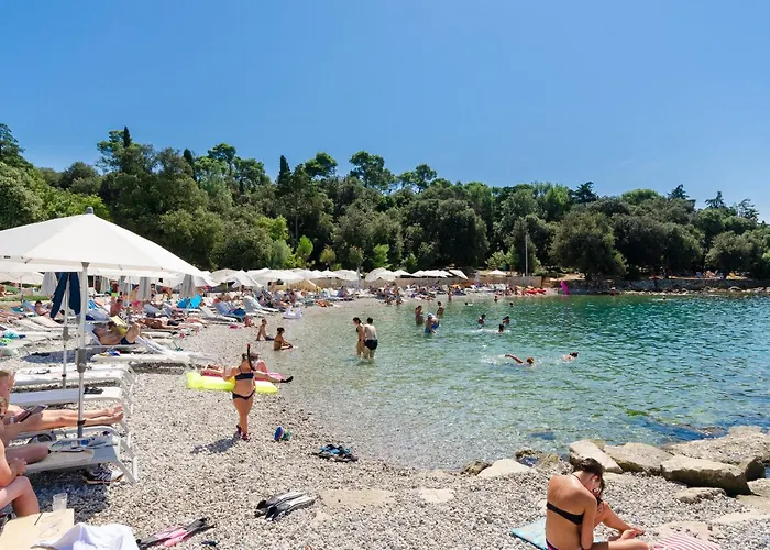 아파트 Valbruna 로비니